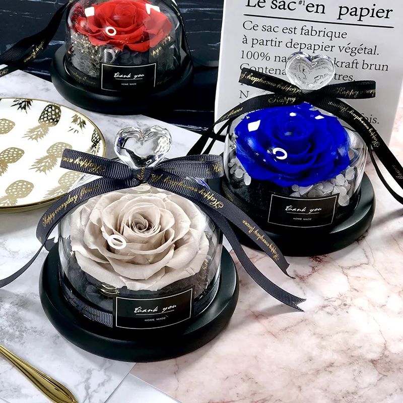 Piękna i Bestia Zapisz prezent – Decor Timeless Lighting recenzja i cena