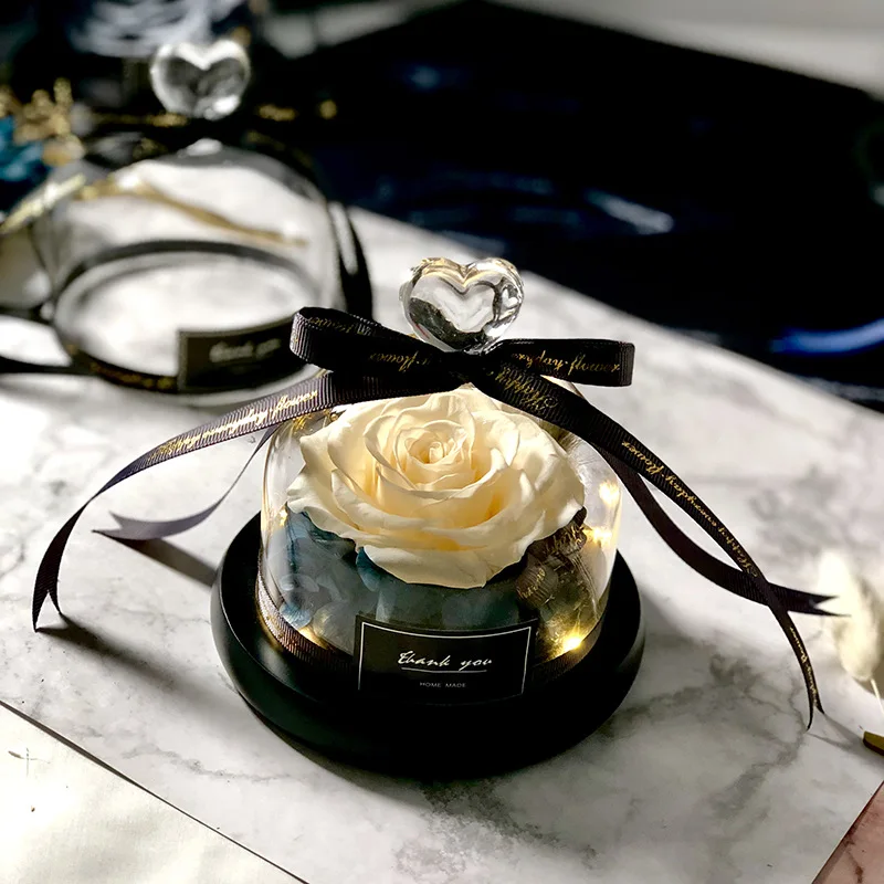 Piękna i Bestia Zapisz prezent – Decor Timeless Lighting recenzja i cena